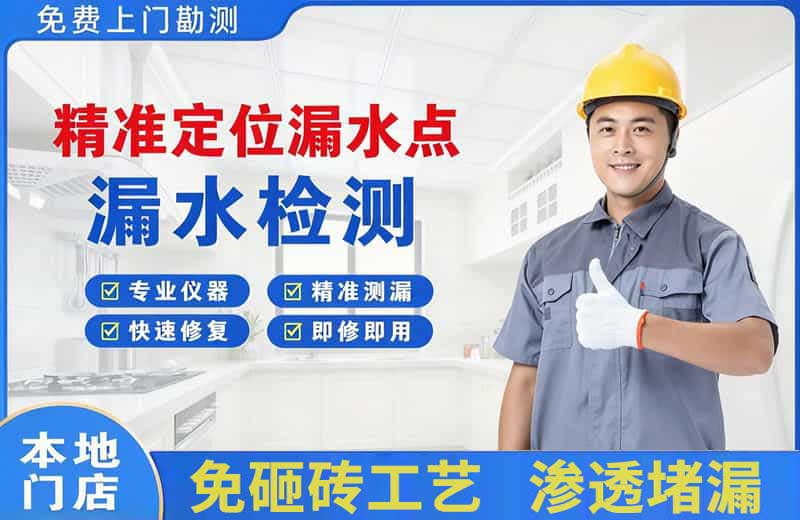 西城精准测漏点